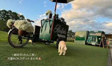 愛犬とはじめての軽井沢旅行を楽しむためのQ＆A