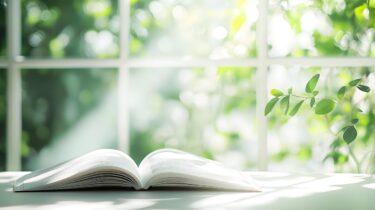 大人の心に余白を取り戻す絵本3冊|静けさ・原点・自己受容の物語