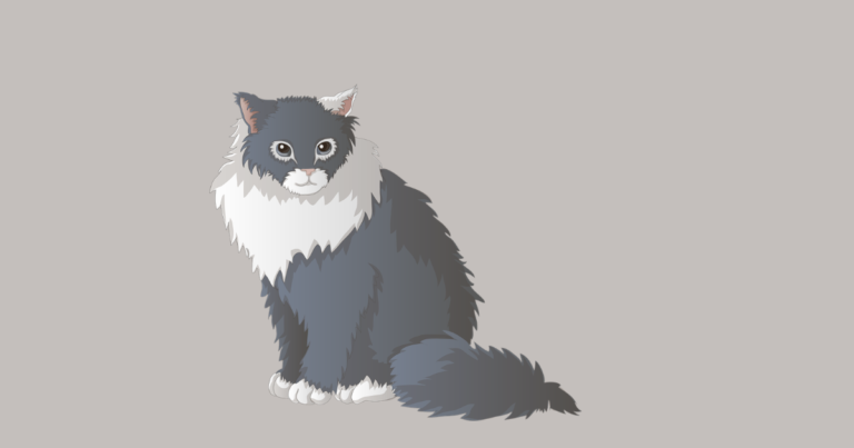 グレーの猫のイラスト