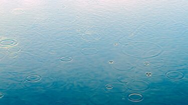 雨の日に心を整える絵本3冊｜大人におすすめの手放す・めぐる・つながる物語