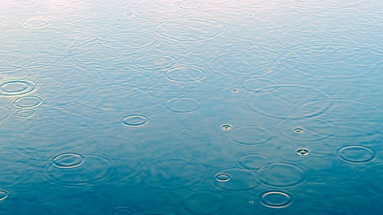 水たまりに雨粒が落ちている写真