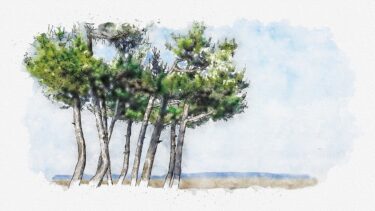 『かぜはどこへいくの』｜消えたように見えるものの行方をたどる、雨の日に心を整える絵本
