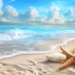 波打ち際の浜辺と貝のイラスト
