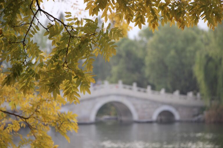 紅葉と湖の写真